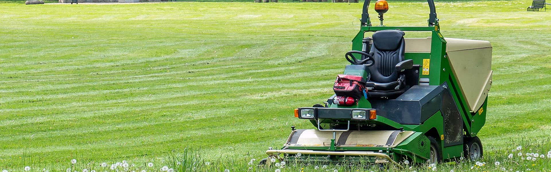 001--gartenservice_272224827.jpg